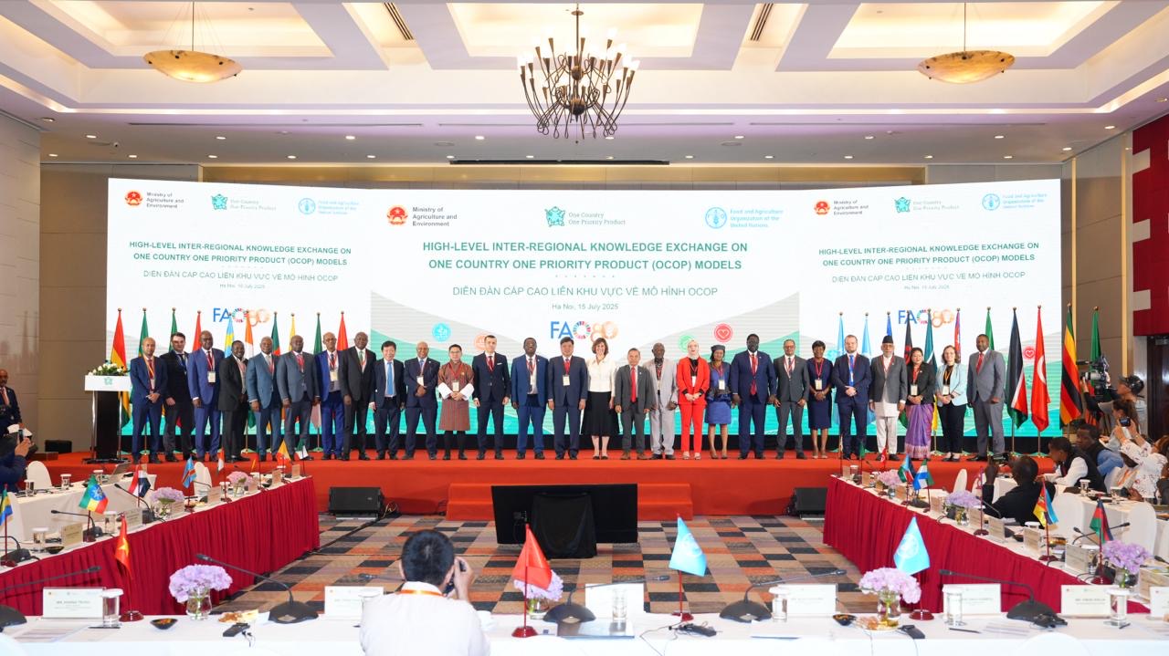 FAO: Innovation, Branding Key to Transforming Agrifood