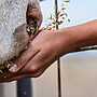 Farmers Face Year-Long Wait for Drought Loan Response