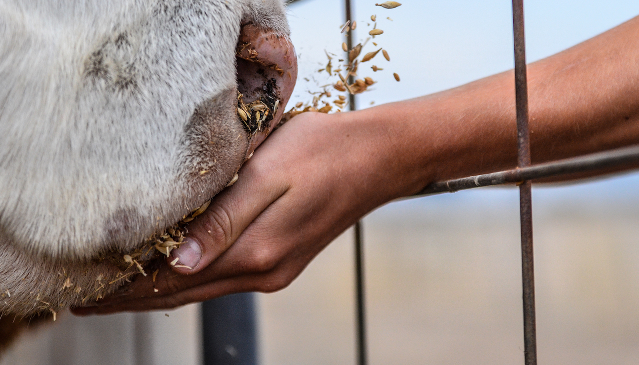 Farmers Face Year-Long Wait for Drought Loan Response