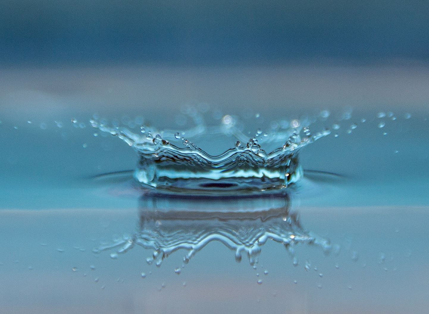 Green Ways To Treat Wastewater