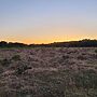 Historic Peatlands Named New National Nature Reserve