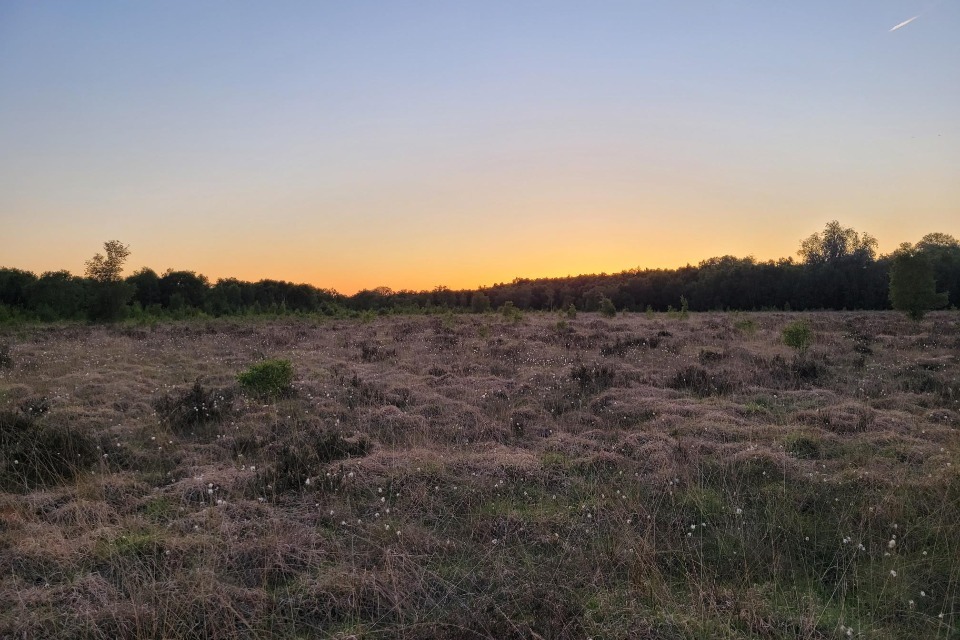Historic Peatlands Named New National Nature Reserve