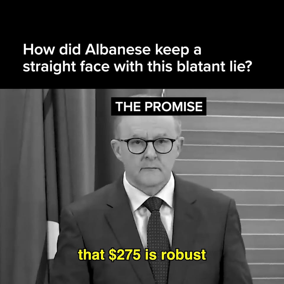 According to Albanese, power bills were meant to have fallen $275 by now…