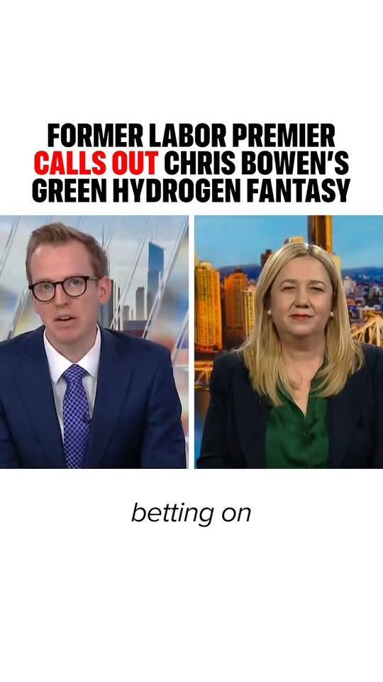 Chris Bowen and Labor are wasting billions of taxpayer dollars on a hydrogen fan...