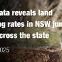NSW Land Clearing Rates Surge 40% Statewide