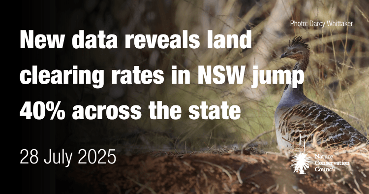 NSW Land Clearing Rates Surge 40% Statewide