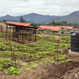 New Project: Remittances to Boost Africa's Climate Resilience