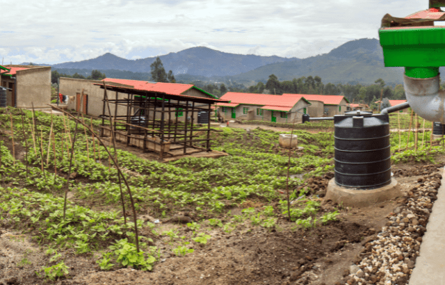 New Project: Remittances to Boost Africa's Climate Resilience