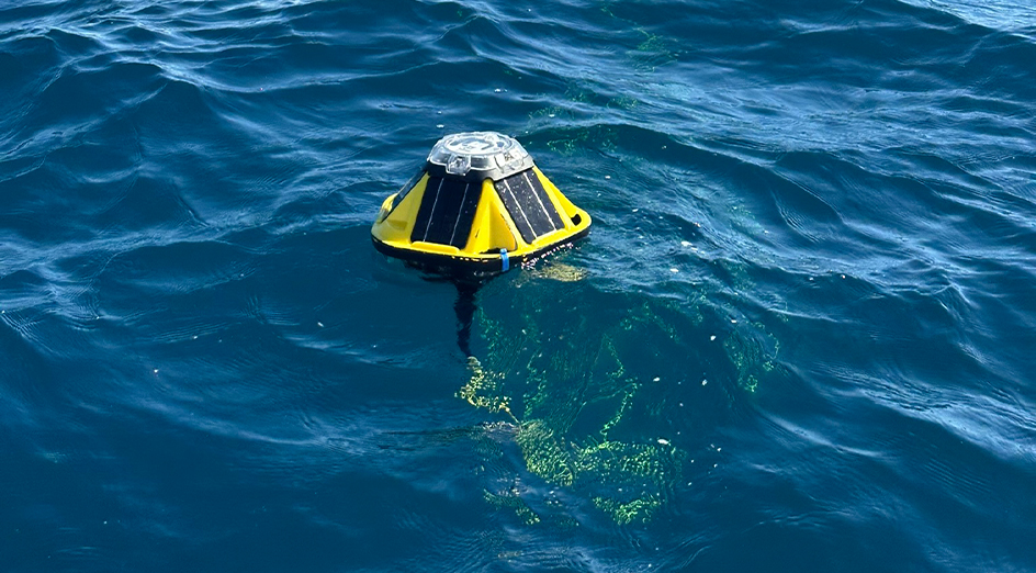 New Wave Buoys Network to Track Coastal Changes