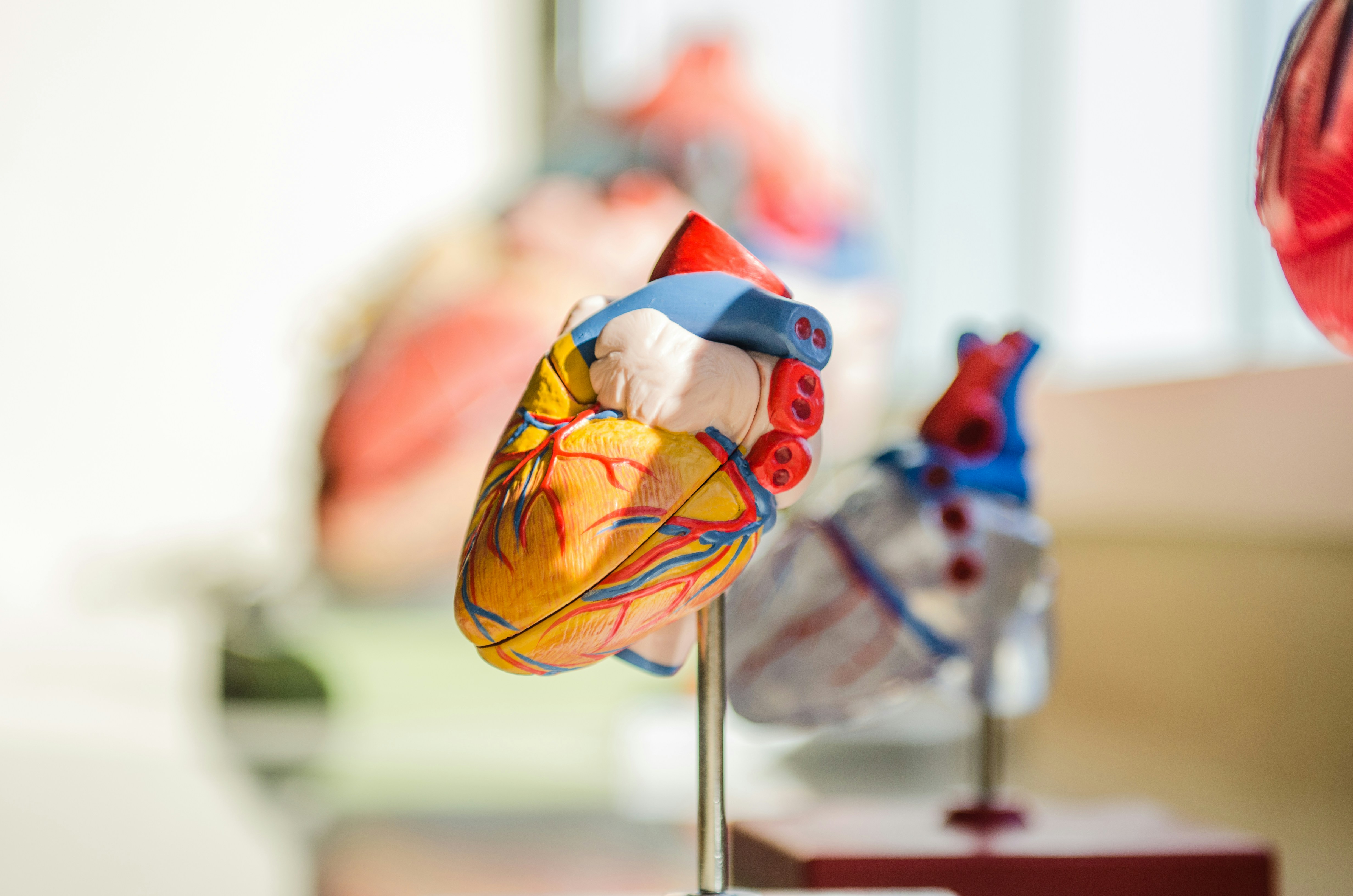 Policy Boost: Closing Gaps Enhances Stroke Recovery