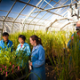 Queensland, CSIRO Launch Free Agriculture Innovation Program