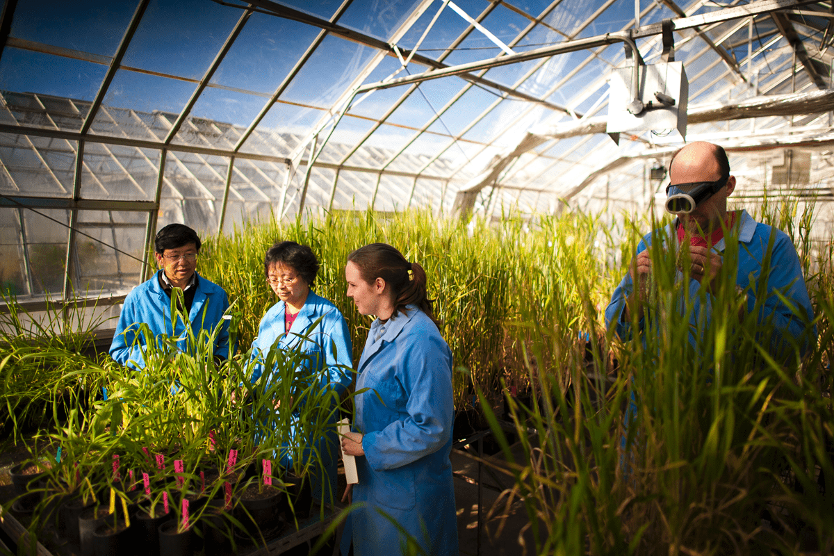 Queensland, CSIRO Launch Free Agriculture Innovation Program