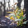 RMIT Unveils Australia's First Regenerative Futures Hub