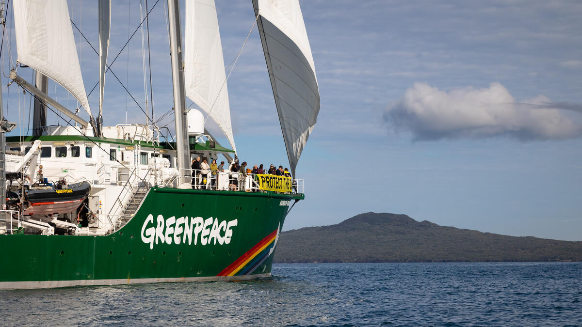 Rainbow Warrior Arrives in Auckland. © Bryce Groves / Greenpeace