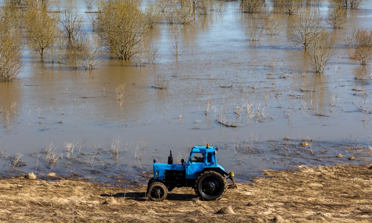 Reactive Disaster Response Fails Australian Farmers