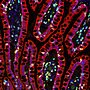 Researchers Awarded $4.5m ARC Future Fellowships
