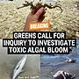 South Australians have been devastated over the last few months to see dead mari...