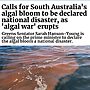 This devastating toxic algal bloom brought on by climate change requires an urge...
