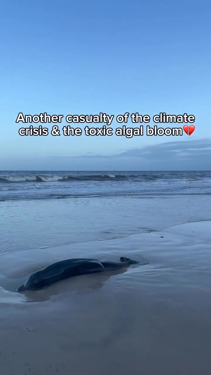 This is an EMERGENCY. When will the Prime Minister come to South Australia and s...