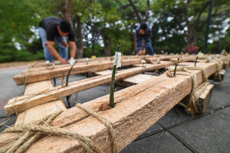 Town Shields Against Climate With Mangrove Defense