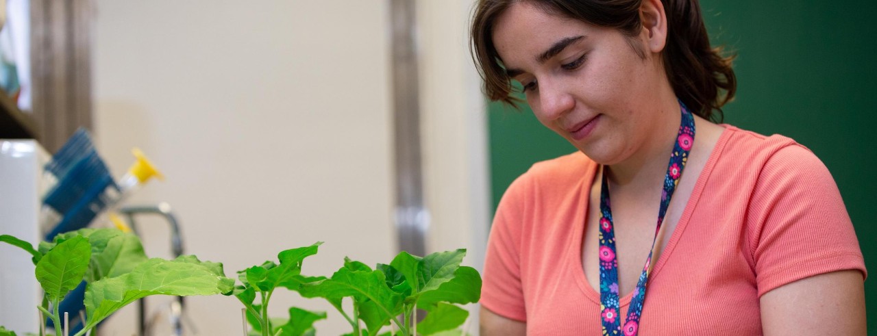 UC Offers Pathway in Sustainability, Environmental Careers