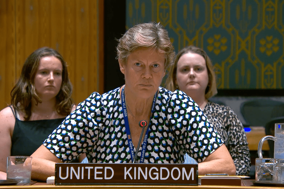 UK Backs Colombia Protection Plan at UN Security Council