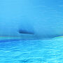 UKHO: Seabed Mapping Key to Ocean Action