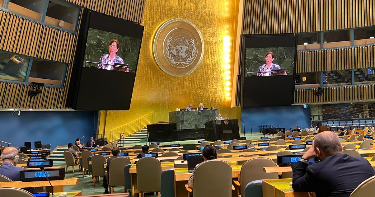 UN Hosts Meeting on Sand, Dust Storms Impact