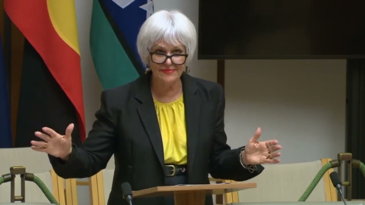 VIDEO: Australian Greens: Elizabeth Watson-Brown on the need for NBN upgrades across the Ryan electorate