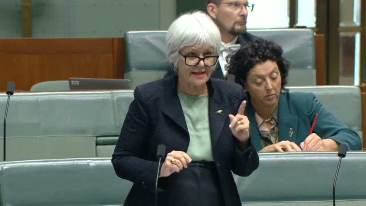 VIDEO: Australian Greens: Elizabeth Watson-Brown speaks on Labor’s draconian anti-refugee bill