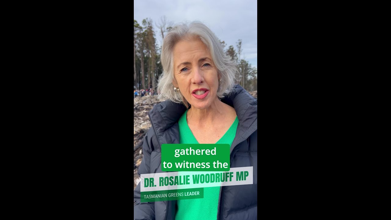 VIDEO: Tasmanian Greens: In balance of power the Greens will end native forest logging
