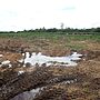 Village Waste Dumping: Two Men Prosecuted