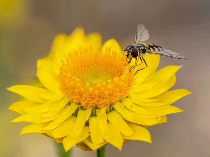 Voices For Nature Needed On Productivity Roundtable