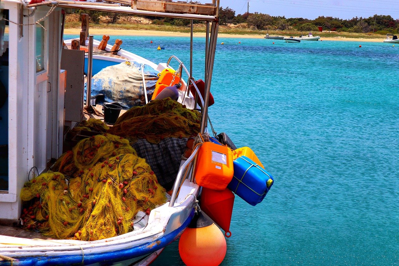 11 Foreign Fishers Guilty, Shark Finning Crew Included