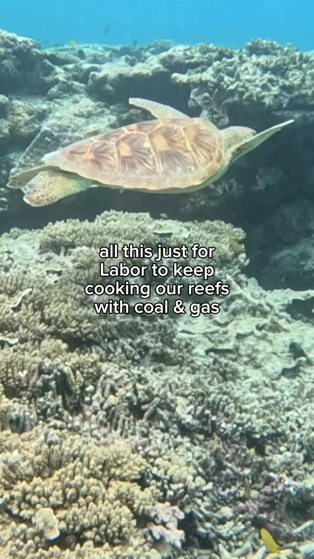 Labor set emissions targets that limit warming to 1.5C and safeguard our reefs c...