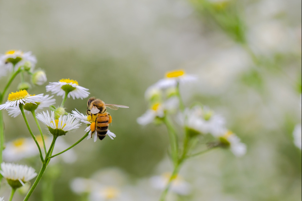 £150M in Farming Grants Successfully Allocated