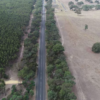 Ararat Council Urges Restart of Western Highway Duplication