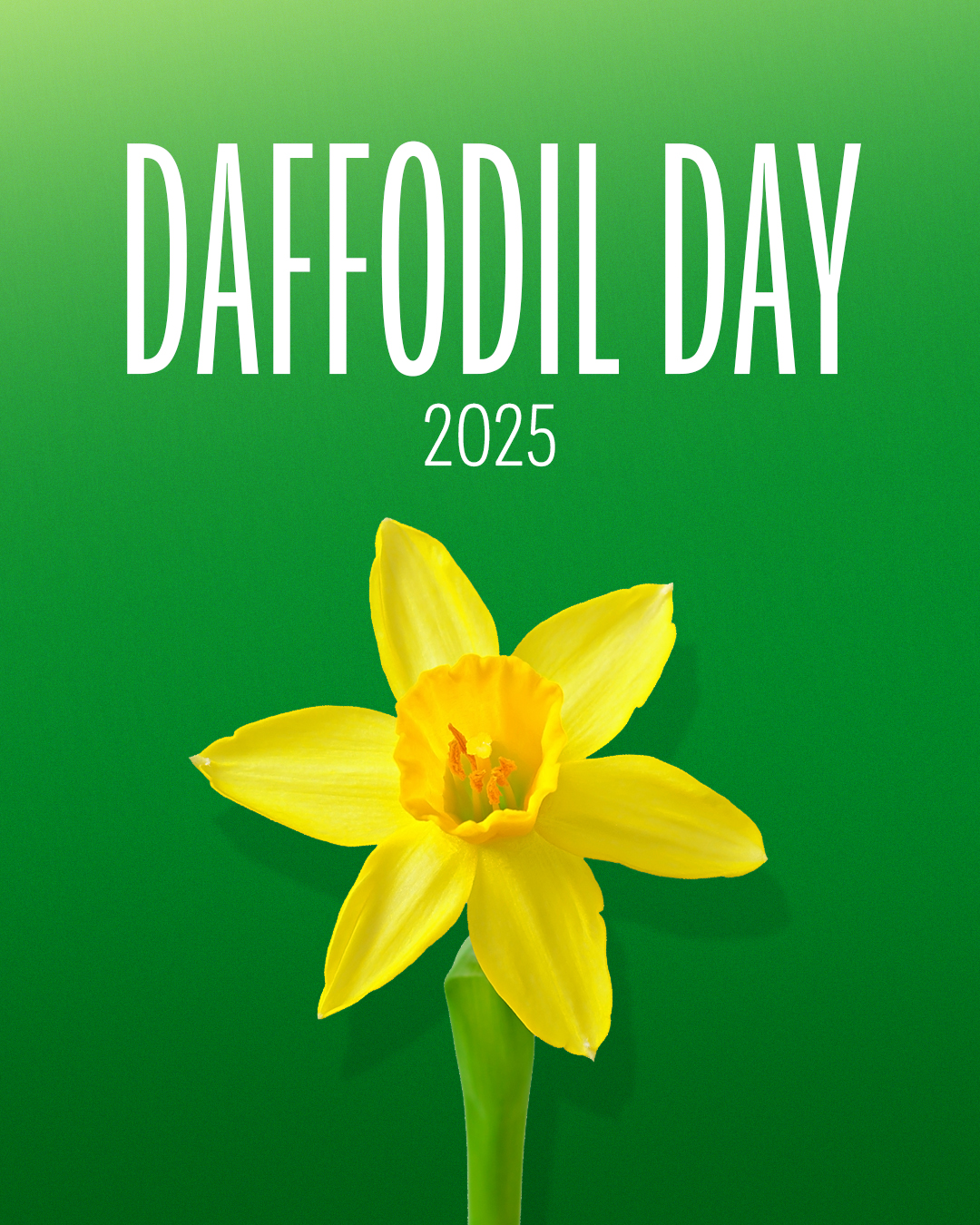 Australian Labor Party: We know that almost 1 in 2 people will be diagnosed with cancer by the age of 85…