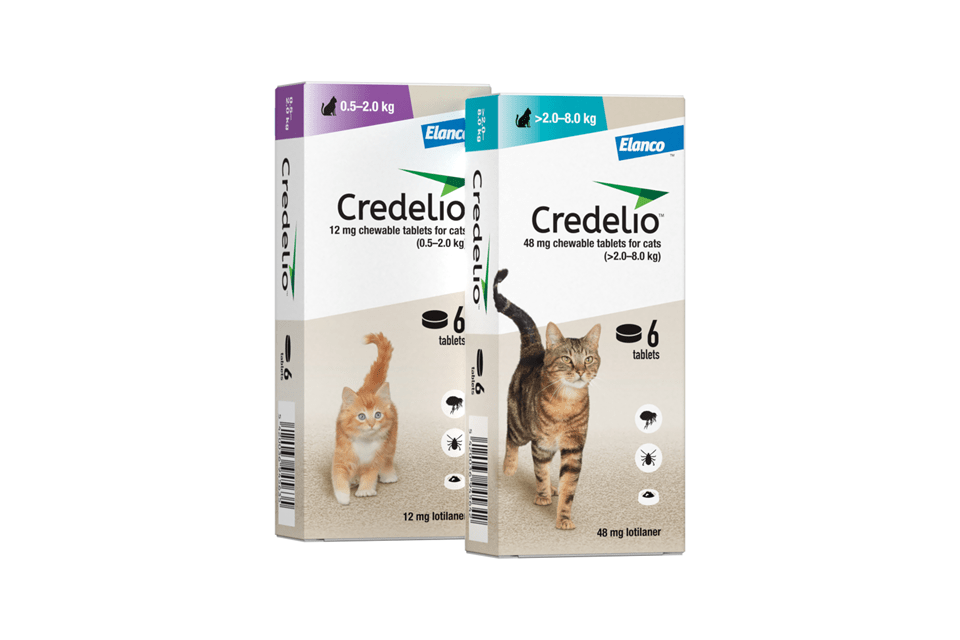 Credelio Chewable Tablets for Cats: SPC Update