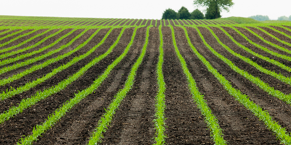 Decarbonize Farming with Expanded Low-Carbon Biofuel Policies