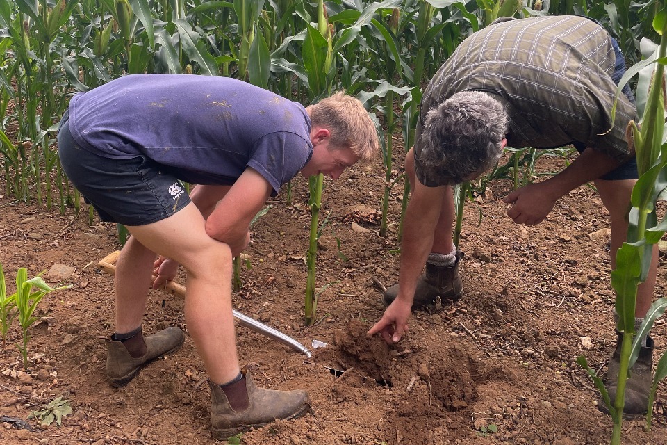 Devon, Cornwall Farmers Urged to Sow Winter Crops