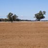 Drought Support Turns To Dust Under Labor