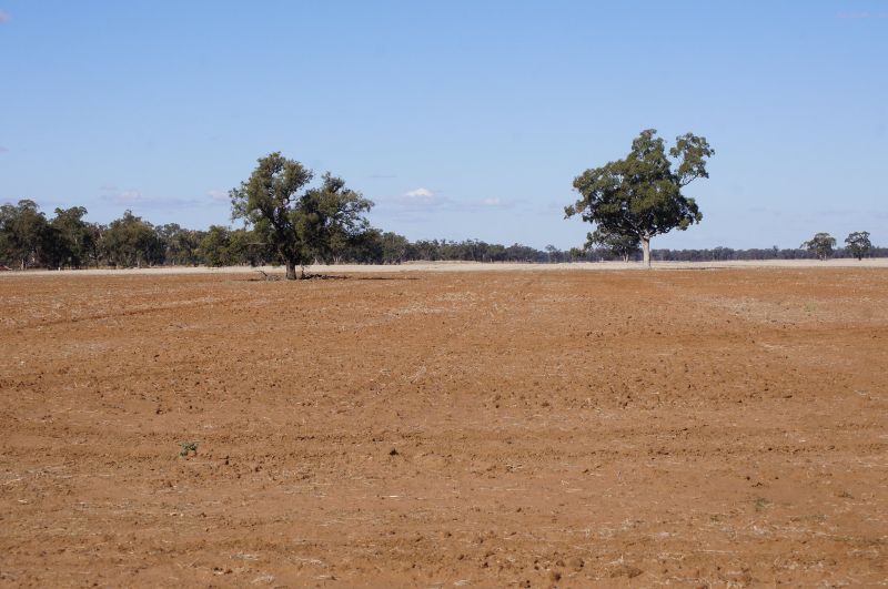 Drought Support Turns To Dust Under Labor