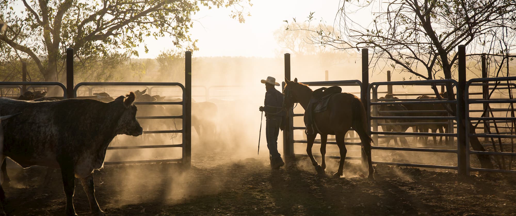 Environmental Law Reform Must Make Sense For Farmers