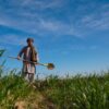 FAO, UK Launch £10M Afghan Rural Resilience Boost