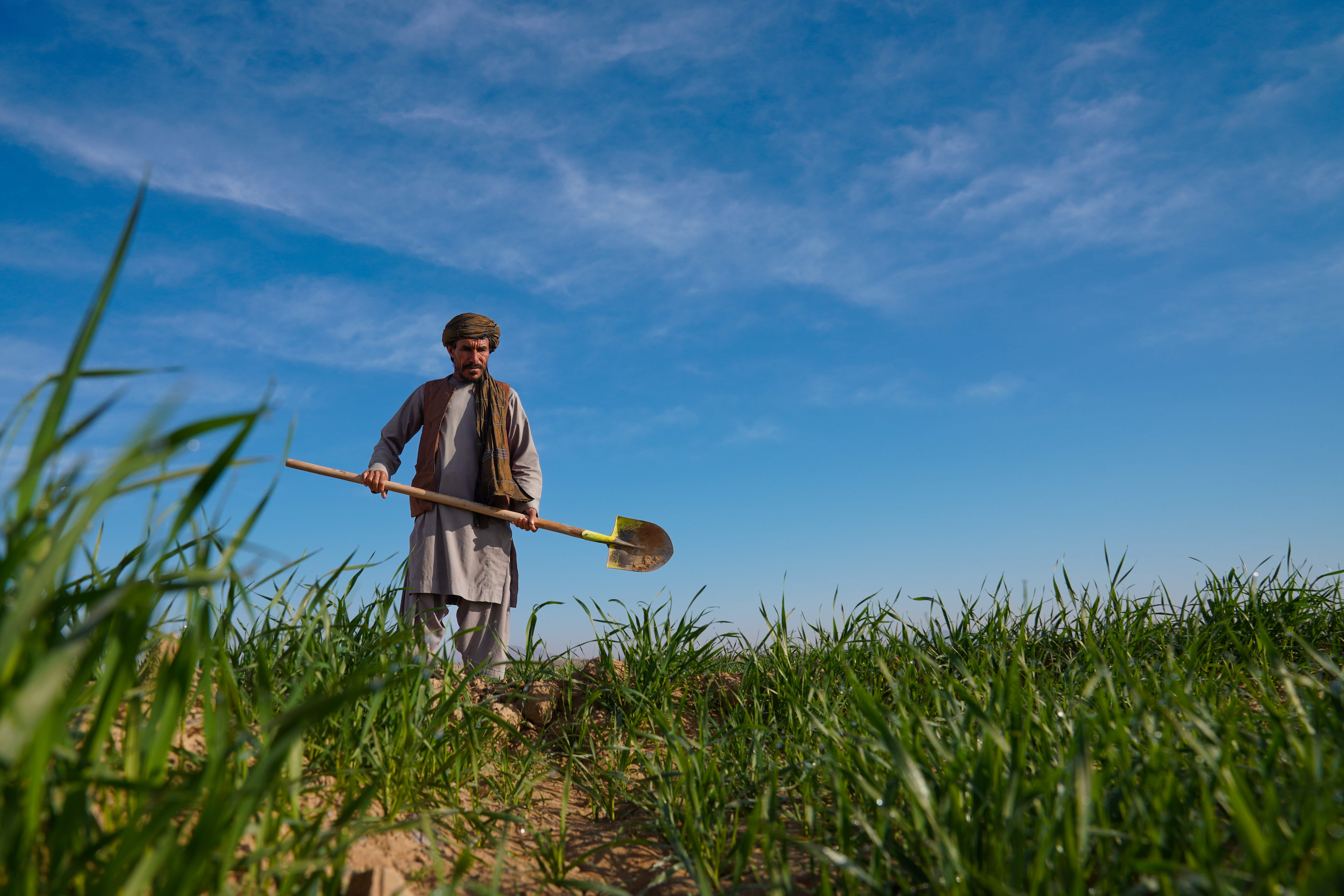 FAO, UK Launch £10M Afghan Rural Resilience Boost