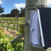 Federal Grant Boosts Smoke Sensor Tech for Wine Sector