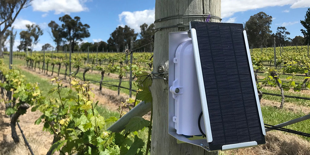 Federal Grant Boosts Smoke Sensor Tech for Wine Sector