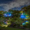 Fireflies Inspire Japanese Youth as Nature Stewards