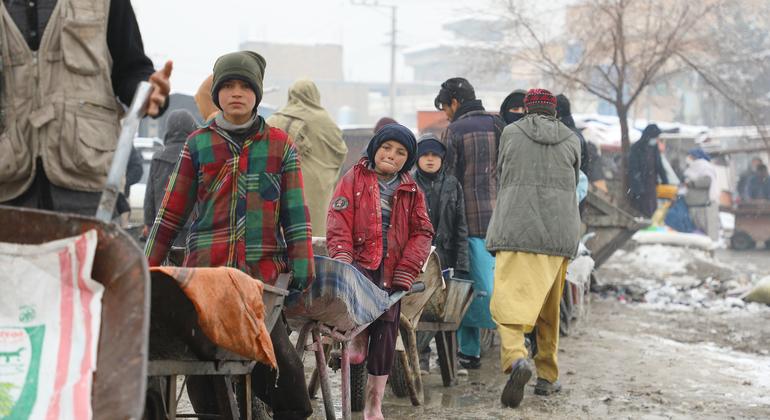 Global Brief: Afghan Schools, Latin Seaweed, Somali Drought